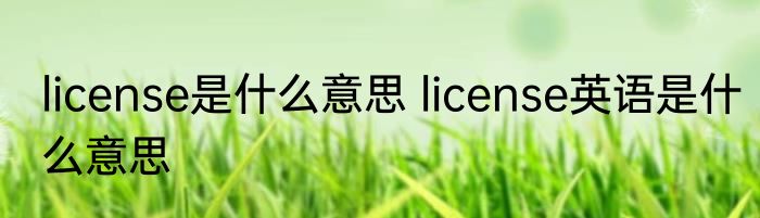 license是什么意思 license英语是什么意思