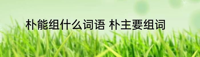 朴能组什么词语 朴主要组词