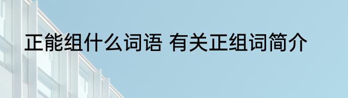 正能组什么词语 有关正组词简介
