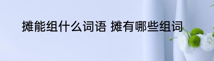 摊能组什么词语 摊有哪些组词
