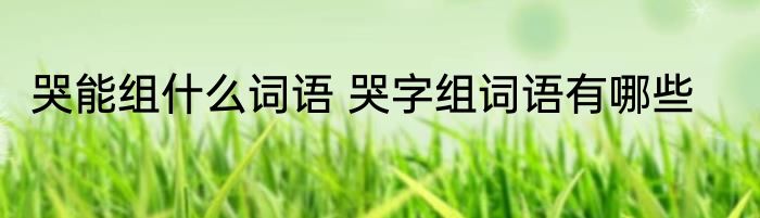 哭能组什么词语 哭字组词语有哪些