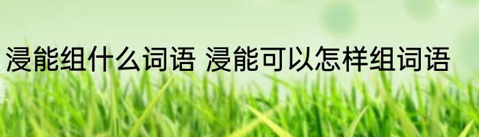 浸能组什么词语 浸能可以怎样组词语