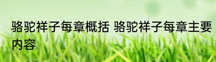 骆驼祥子每章概括 骆驼祥子每章主要内容