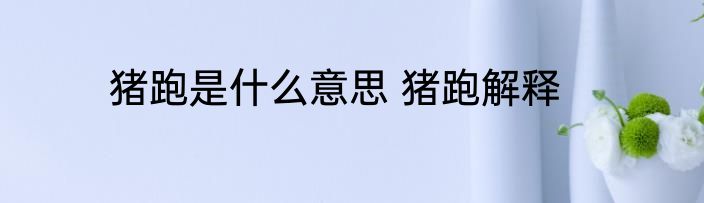 猪跑是什么意思 猪跑解释