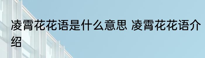 凌霄花花语是什么意思 凌霄花花语介绍