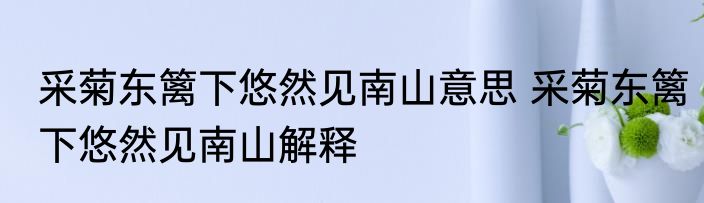 菡萏什么意思 菡萏的意思