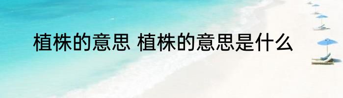 植株的意思 植株的意思是什么