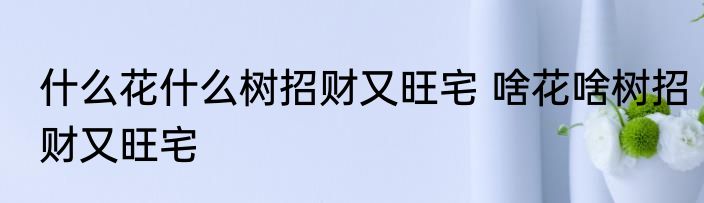 什么花什么树招财又旺宅 啥花啥树招财又旺宅