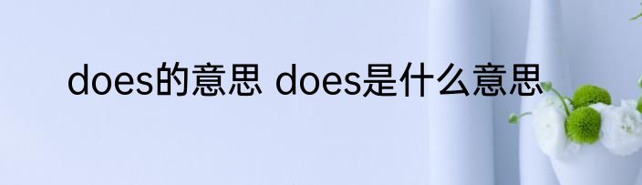 does的意思 does是什么意思