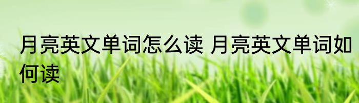 月亮英文单词怎么读 月亮英文单词如何读