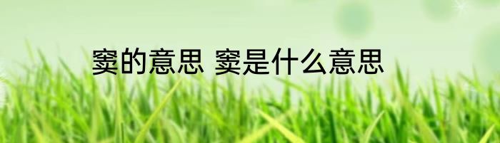 窦的意思 窦是什么意思