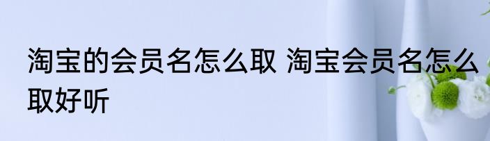 淘宝的会员名怎么取 淘宝会员名怎么取好听
