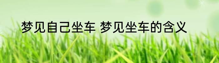 梦见自己坐车 梦见坐车的含义