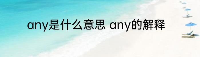 any是什么意思 any的解释
