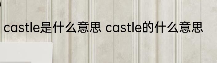 castle是什么意思 castle的什么意思