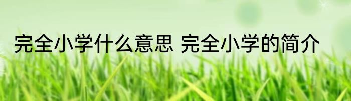 完全小学什么意思 完全小学的简介