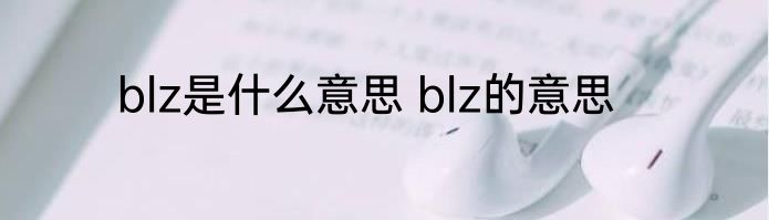blz是什么意思 blz的意思