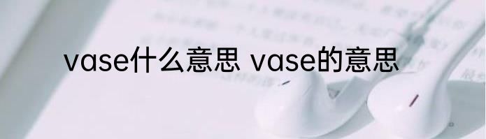 vase什么意思 vase的意思