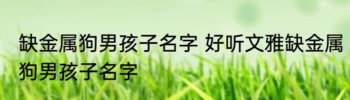 缺金属狗男孩子名字 好听文雅缺金属狗男孩子名字
