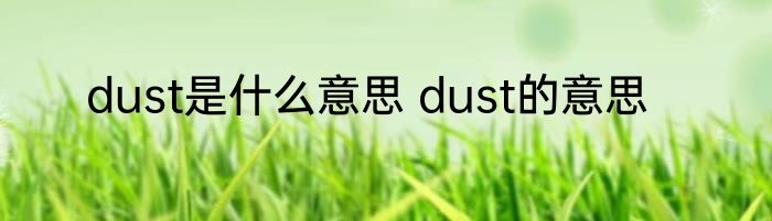 dust是什么意思 dust的意思