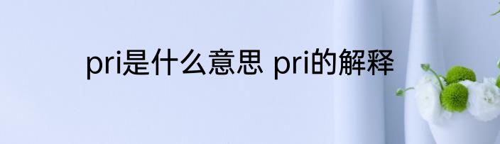 pri是什么意思 pri的解释
