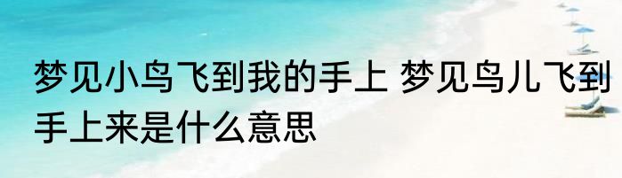 梦见小鸟飞到我的手上 梦见鸟儿飞到手上来是什么意思