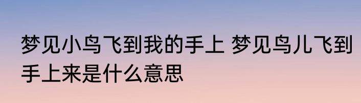 梦见穿白衣服带孝的人 梦见穿白衣服带孝的人的含义