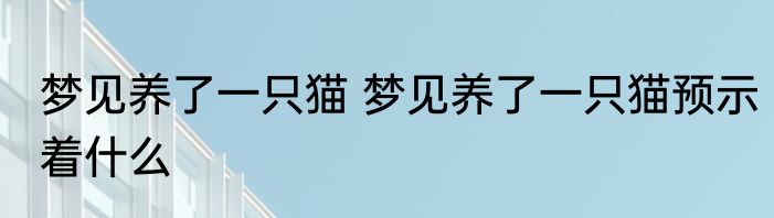 梦见养了一只猫 梦见养了一只猫预示着什么