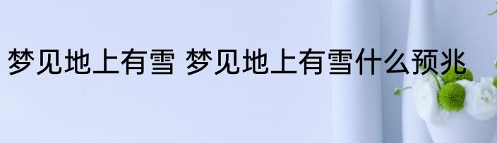 梦见地上有雪 梦见地上有雪什么预兆