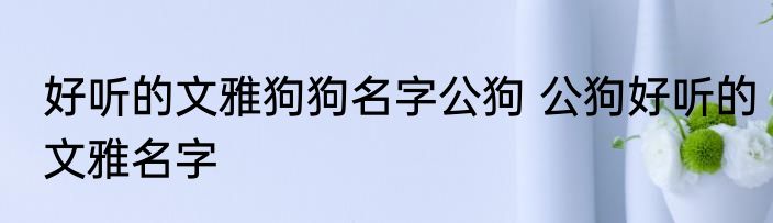 好听的文雅狗狗名字公狗 公狗好听的文雅名字