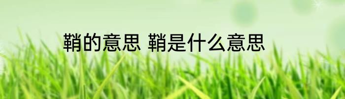 鞘的意思 鞘是什么意思