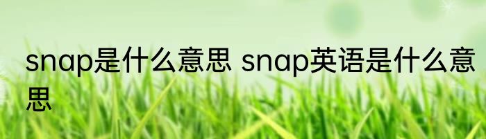 snap是什么意思 snap英语是什么意思