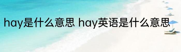 hay是什么意思 hay英语是什么意思
