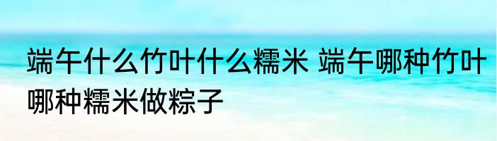 端午什么竹叶什么糯米 端午哪种竹叶哪种糯米做粽子