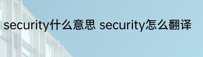 security什么意思 security怎么翻译