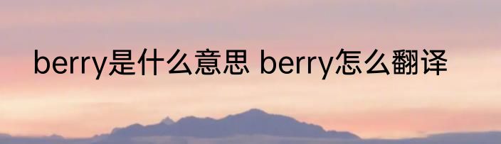berry是什么意思 berry怎么翻译