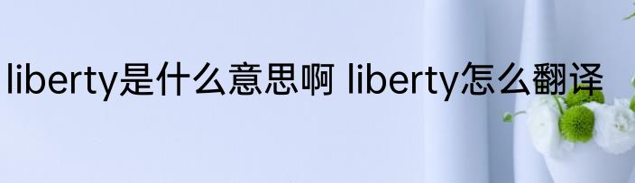 liberty是什么意思啊 liberty怎么翻译