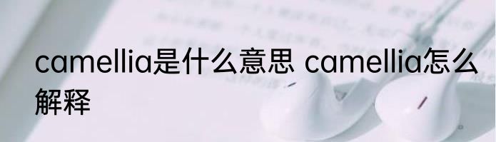 camellia是什么意思 camellia怎么解释