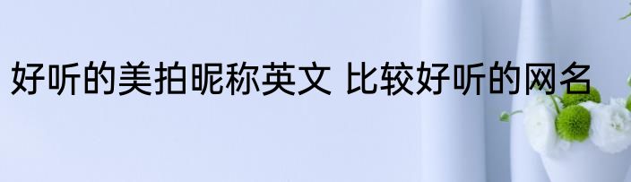 好听的美拍昵称英文 比较好听的网名