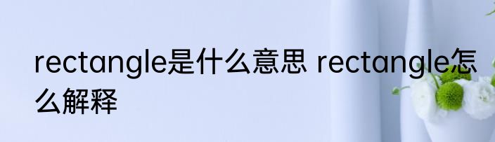 rectangle是什么意思 rectangle怎么解释