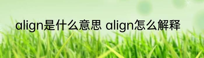 align是什么意思 align怎么解释