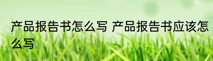 产品报告书怎么写 产品报告书应该怎么写