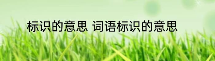 标识的意思 词语标识的意思
