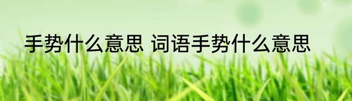 手势什么意思 词语手势什么意思