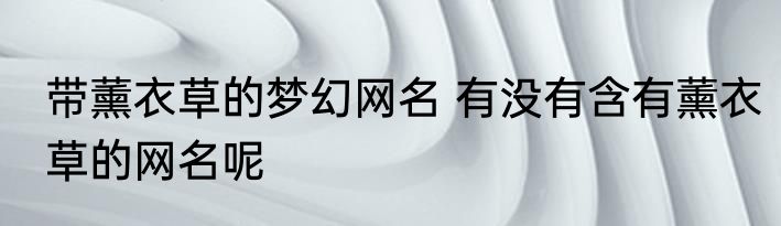 带薰衣草的梦幻网名 有没有含有薰衣草的网名呢