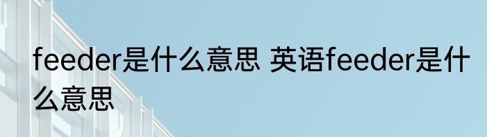 feeder是什么意思 英语feeder是什么意思