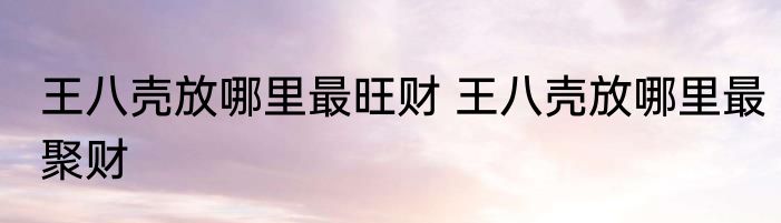 王八壳放哪里最旺财 王八壳放哪里最聚财