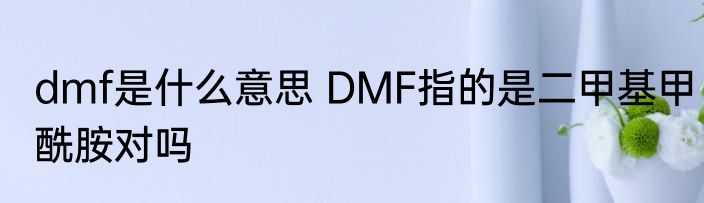 dmf是什么意思 DMF指的是二甲基甲酰胺对吗