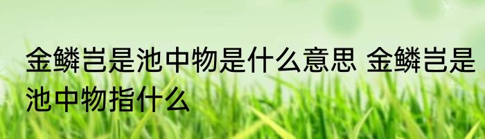 金鳞岂是池中物是什么意思 金鳞岂是池中物指什么