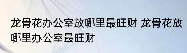 龙骨花办公室放哪里最旺财 龙骨花放哪里办公室最旺财